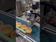 Máquina automática de enchimento de maquiagem com bomba de engrenagem SUS304