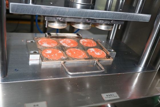 6 buracos Cnc moldes de alumínio para a forma de pó úmido 1 ano de garantia