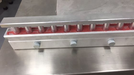 12 buracos bico de pássaro molde de batom personalizado cavidade única cavidade múltipla